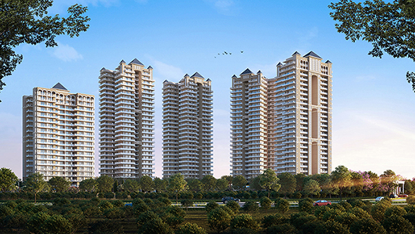 Tulip Crimson Image 1